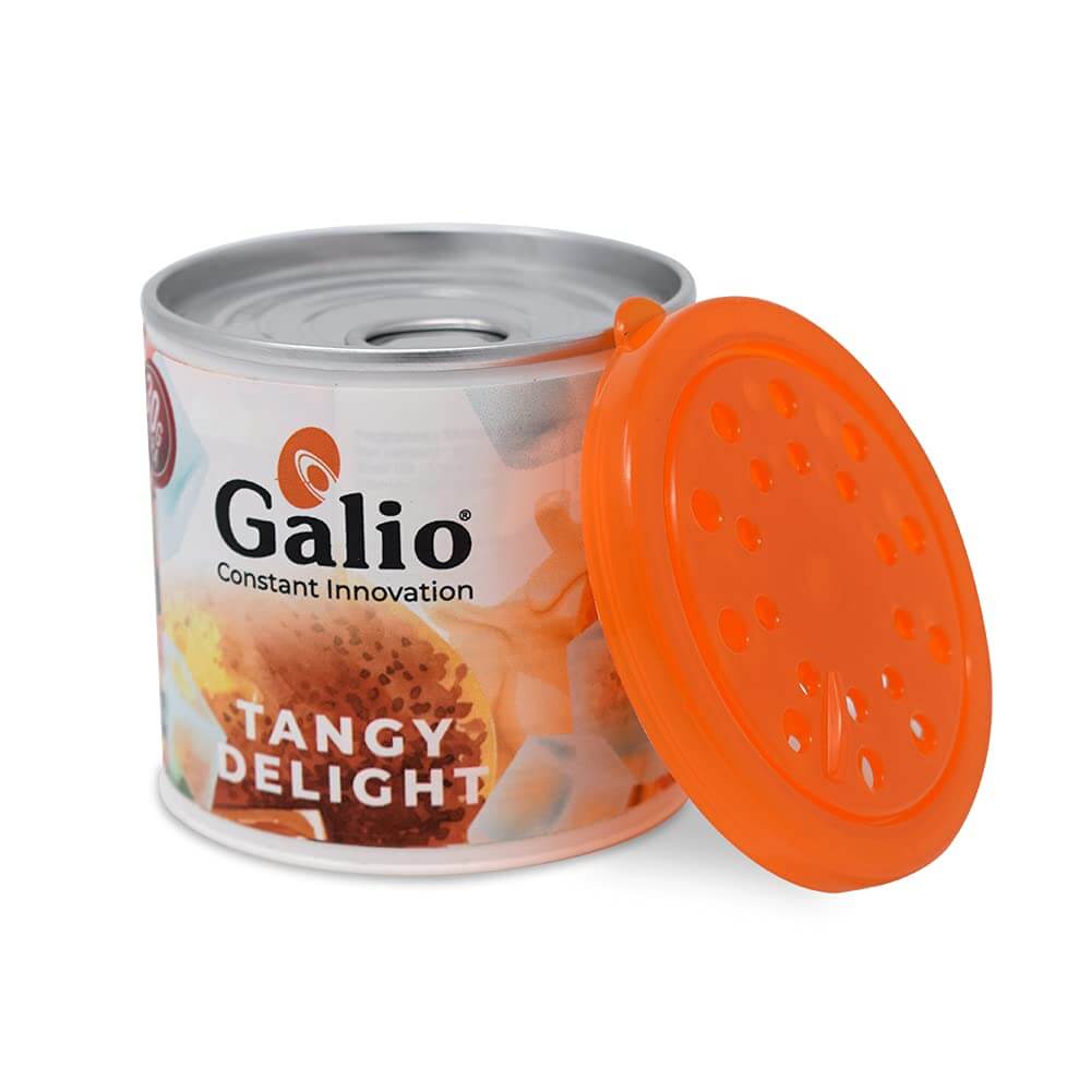 Galio Air Freshener For Car, Home and Office (Tangy Delight, 90g)