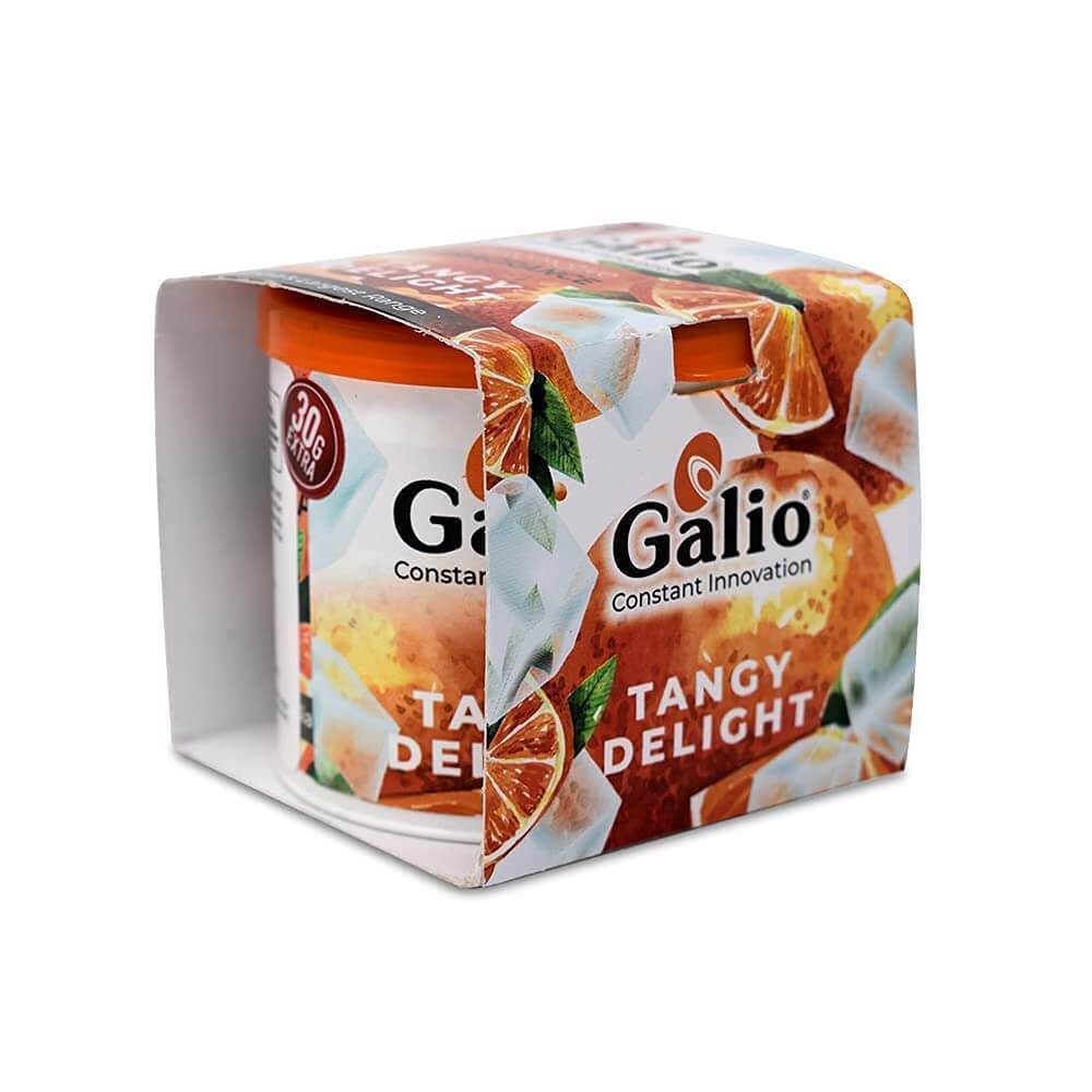 Galio Air Freshener For Car, Home and Office (Tangy Delight, 90g)