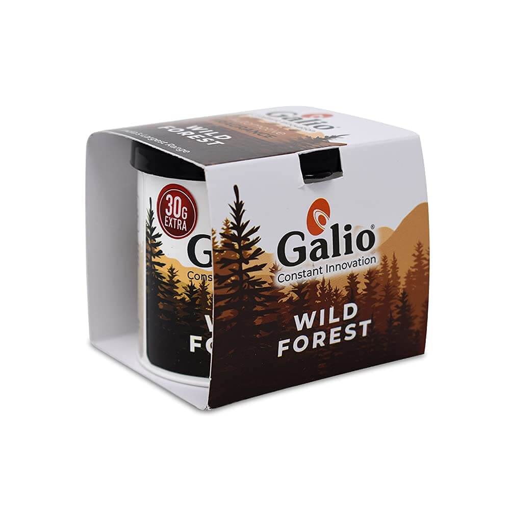 Wild forest car air freshener 120g in Bangalore