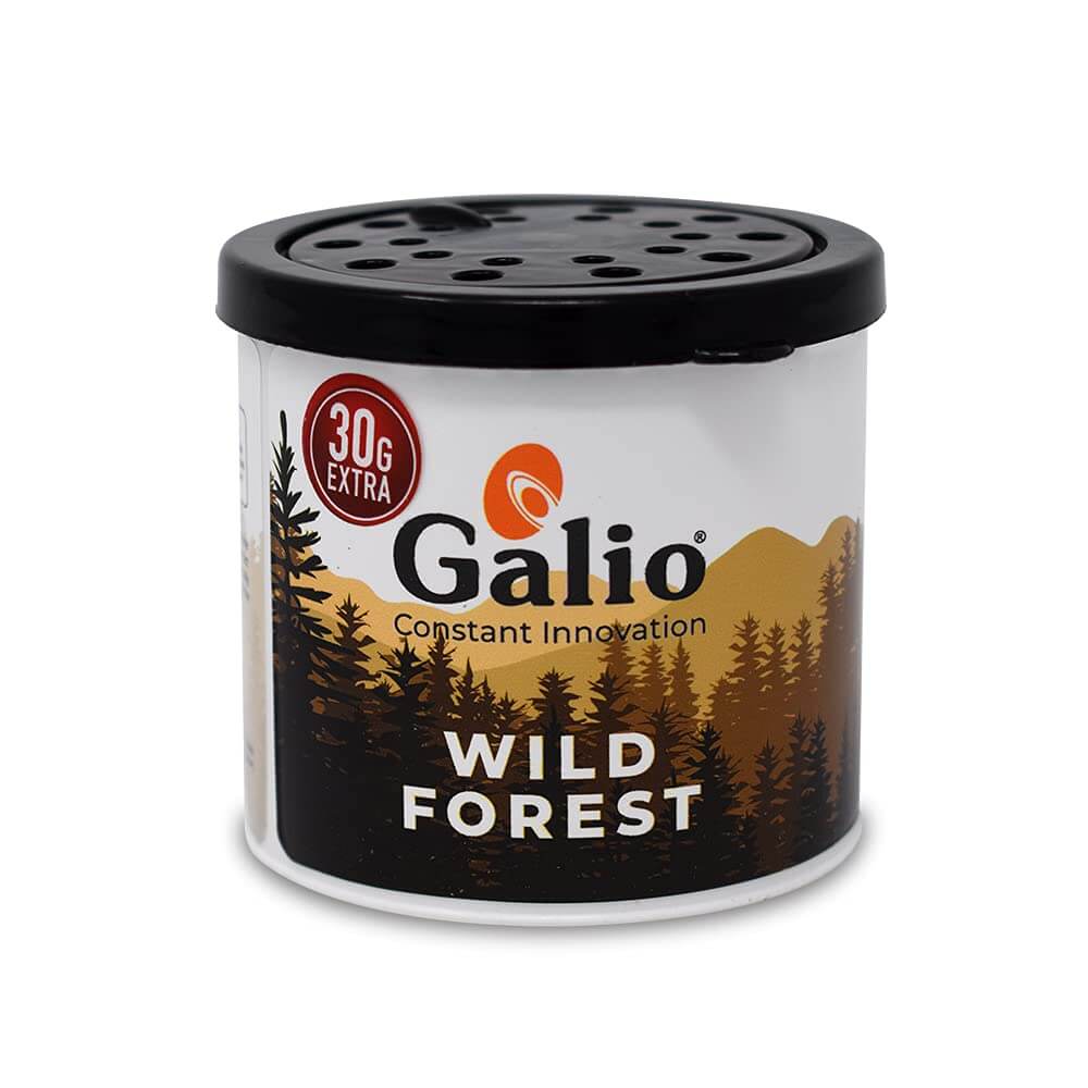 Galio Car Air Freshener Perfume (Wild Forest, 120g)